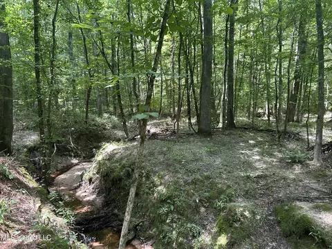 George Warren Road, Brandon, MS 39042 photo 12