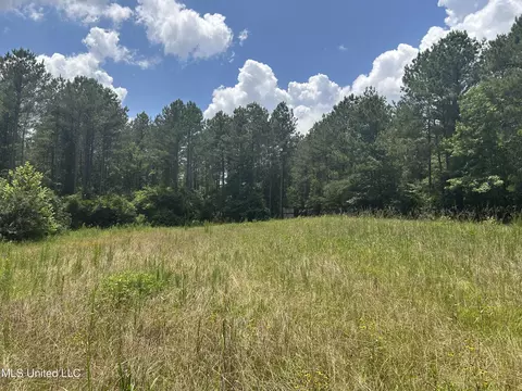 George Warren Road, Brandon, MS 39042