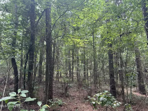 George Warren Road, Brandon, MS 39042 photo 7