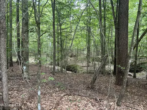 George Warren Road, Brandon, MS 39042 photo 21