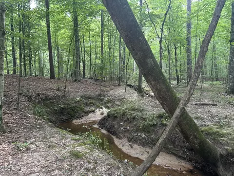 George Warren Road, Brandon, MS 39042 photo 23