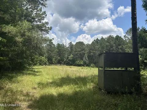 George Warren Road, Brandon, MS 39042 photo 5