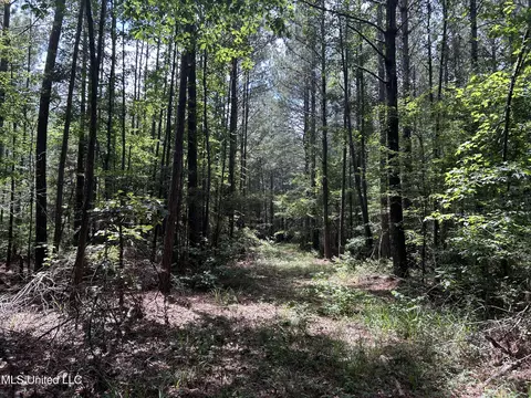 George Warren Road, Brandon, MS 39042 photo 27