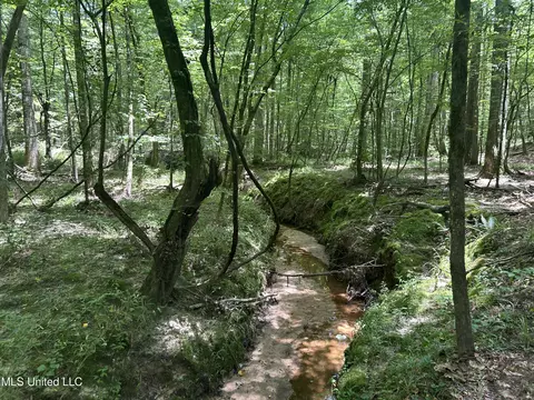 George Warren Road, Brandon, MS 39042 photo 13