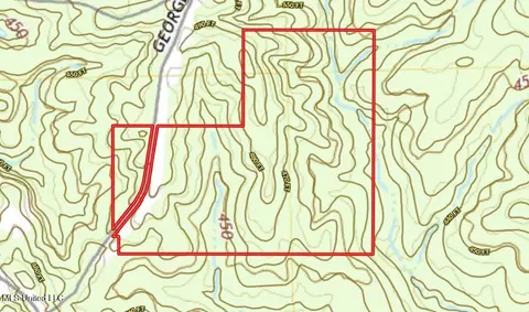 George Warren Road, Brandon, MS 39042 photo 37