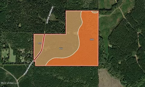 George Warren Road, Brandon, MS 39042 photo 36
