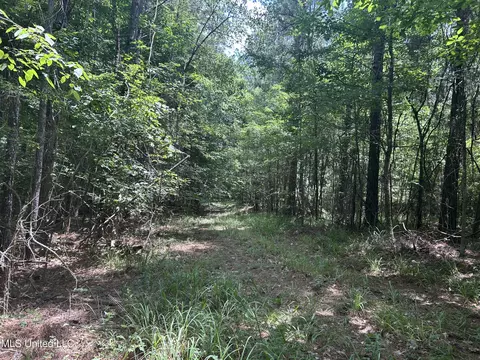George Warren Road, Brandon, MS 39042 photo 6