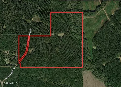 George Warren Road, Brandon, MS 39042 photo 34