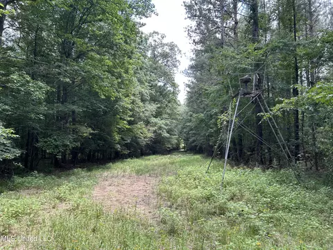 George Warren Road, Brandon, MS 39042 photo 2