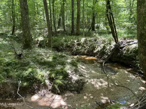 George Warren Road, Brandon, MS 39042 photo 17