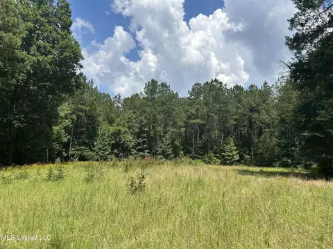 George Warren Road, Brandon, MS 39042 photo 3