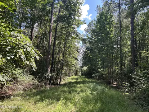 George Warren Road, Brandon, MS 39042 photo 6