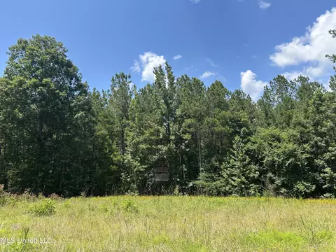 George Warren Road, Brandon, MS 39042 photo 4