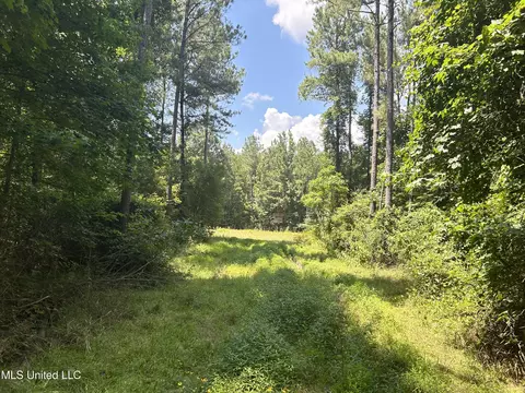 George Warren Road, Brandon, MS 39042