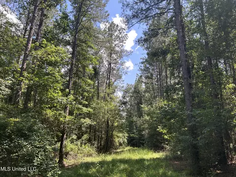 George Warren Road, Brandon, MS 39042 photo 8