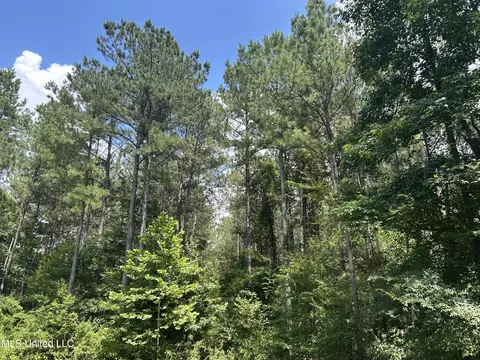 George Warren Road, Brandon, MS 39042 photo 5