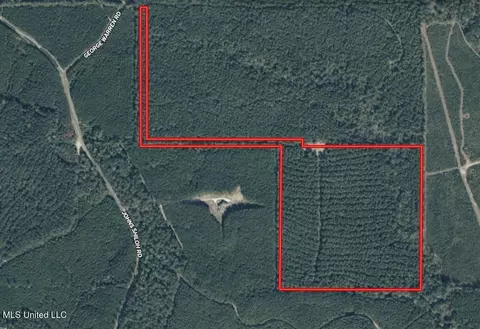 George Warren Road, Brandon, MS 39042 photo 10