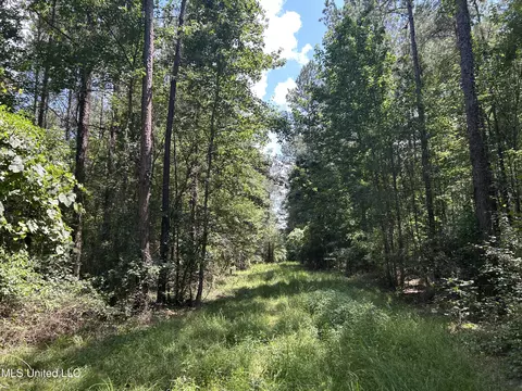 George Warren Road, Brandon, MS 39042 photo 7