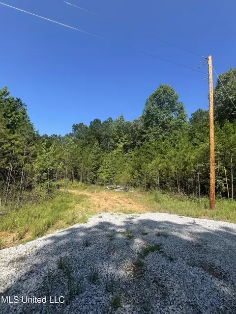 1141 County Road 172, Blue Springs, MS 38828