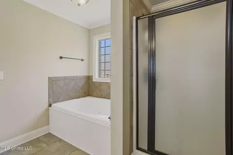 Bath - 156 E Clearview Dr, Madison, MS 39110 photo 1 of 4