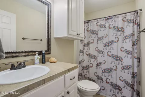 Bath - 156 E Clearview Dr, Madison, MS 39110 photo 4 of 4