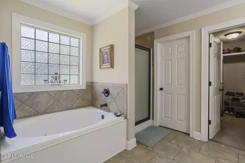 Bath - 156 E Clearview Dr, Madison, MS 39110 photo 3 of 4