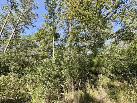 Washam Road, Lucedale, MS 39452 photo 2
