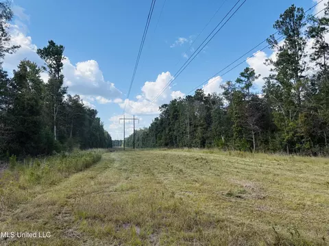 Washam Road, Lucedale, MS 39452 photo 5