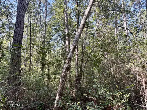 Washam Road, Lucedale, MS 39452 photo 4