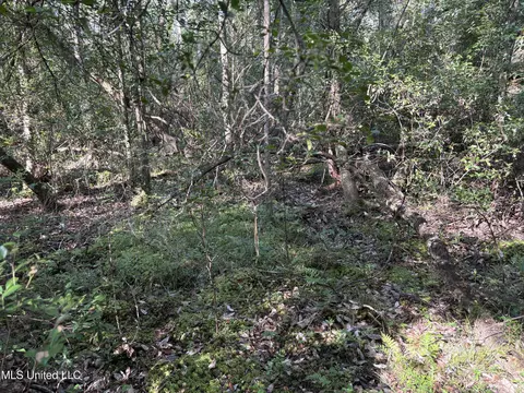 Washam Road, Lucedale, MS 39452 photo 3