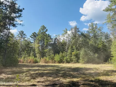 Washam Road, Lucedale, MS 39452 photo 6