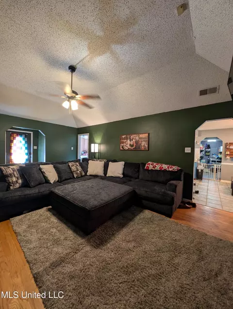 Living - 7071 Bramble Ln, Walls, MS 38680 photo 1 of 2