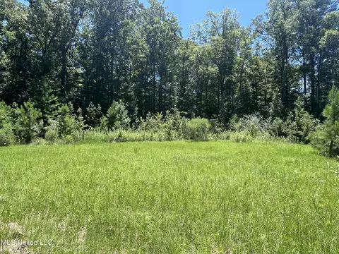 Magnolia Springs Boulevard, Florence, MS 39073