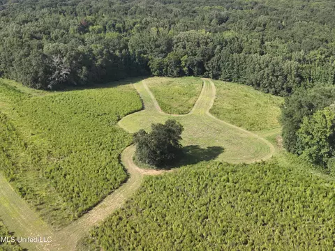 Scotland Road, Bentonia, MS 39040