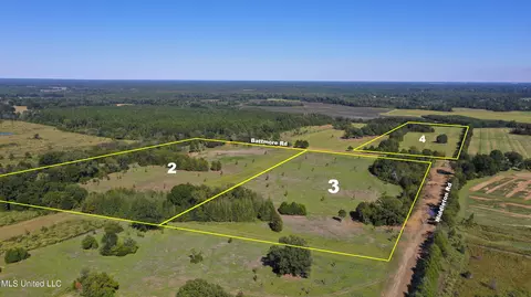Battmore Road, Flora, MS 39071 photo 5