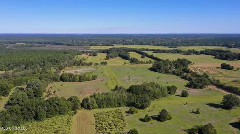 Battmore Road, Flora, MS 39071 photo 3