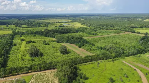 Middleton Road, Flora, MS 39071 photo 5