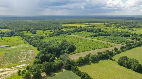 Middleton Road, Flora, MS 39071 photo 8