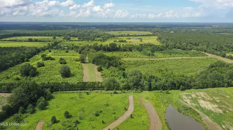 Middleton Road, Flora, MS 39071 photo 2