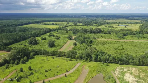 Middleton Road, Flora, MS 39071 photo 3