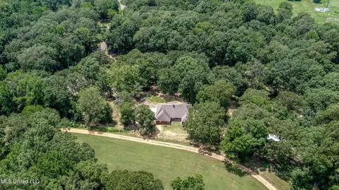 460 Deer Trail Dr, Hernando, MS 38632 photo 5