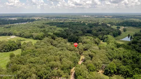 460 Deer Trail Dr, Hernando, MS 38632 photo 7
