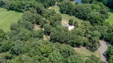 460 Deer Trail Dr, Hernando, MS 38632 photo 6