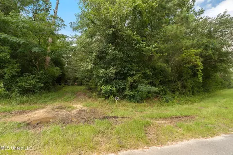 Herman Ladner Road, Saucier, MS 39574 photo 4
