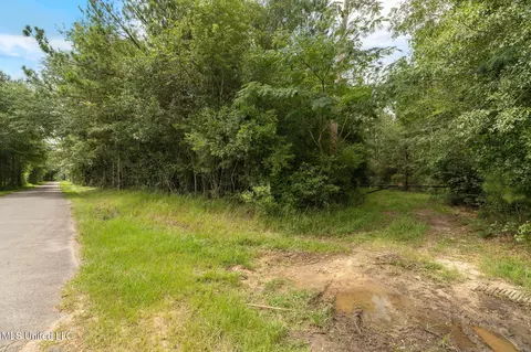 Herman Ladner Road, Saucier, MS 39574 photo 5