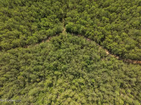 Herman Ladner Road, Saucier, MS 39574 photo 6