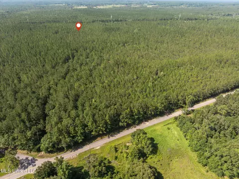 Herman Ladner Road, Saucier, MS 39574 photo 7