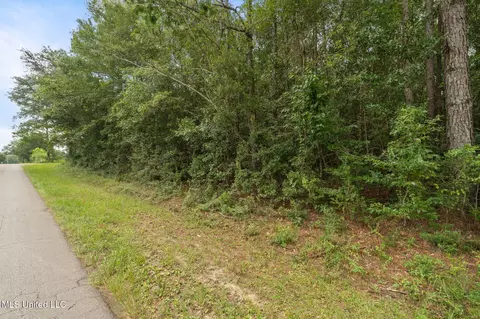 Herman Ladner Road, Saucier, MS 39574 photo 3