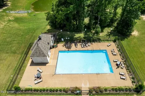 2896 Liam Ln, Nesbit, MS 38651 photo 40