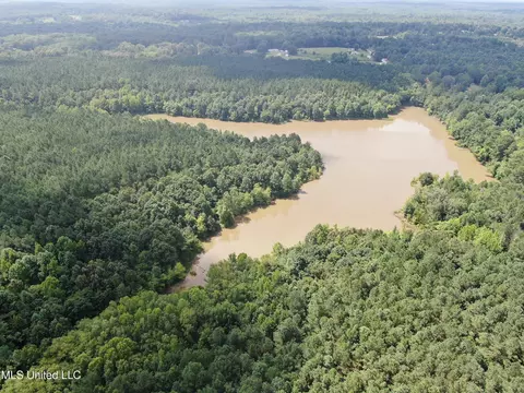 0 E Cox Rd, Byhalia, MS 38611 photo 7